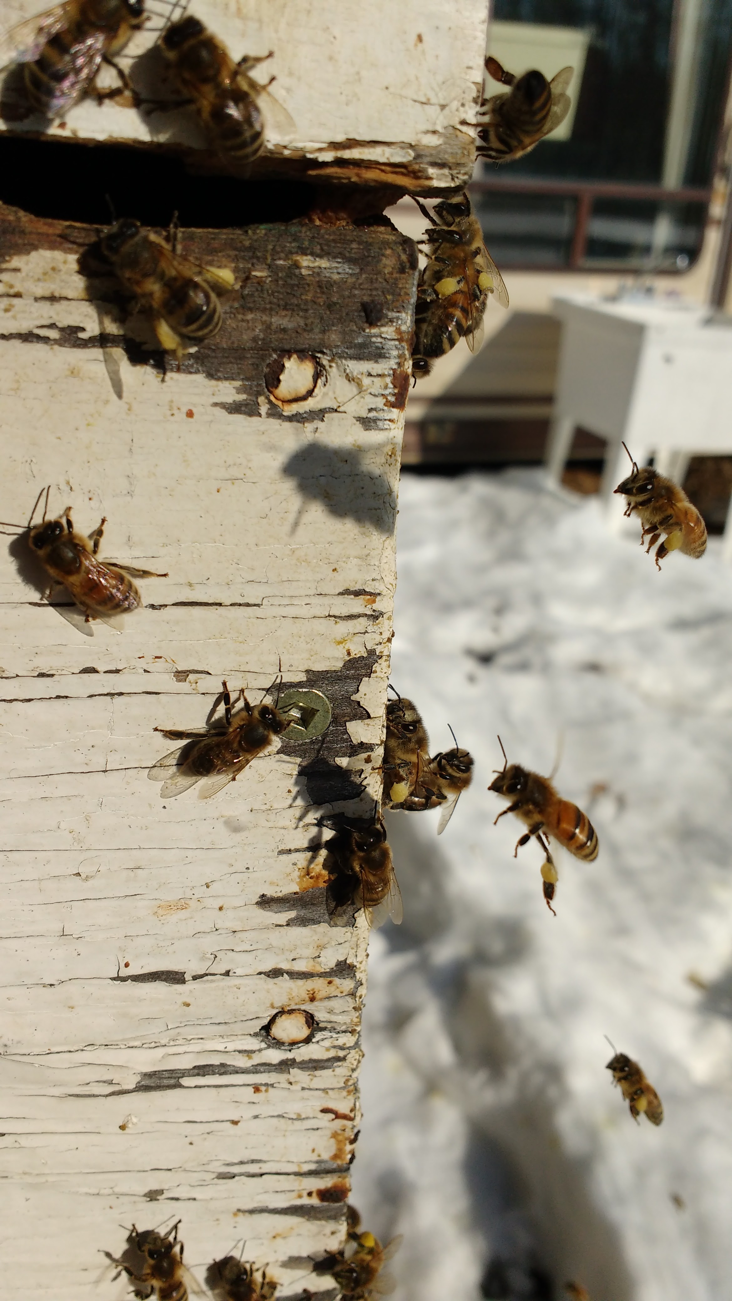 IMG_20170419_172735334