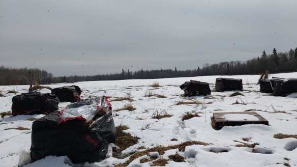 IMG_20170420_143002213