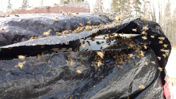 IMG_20170420_143312512